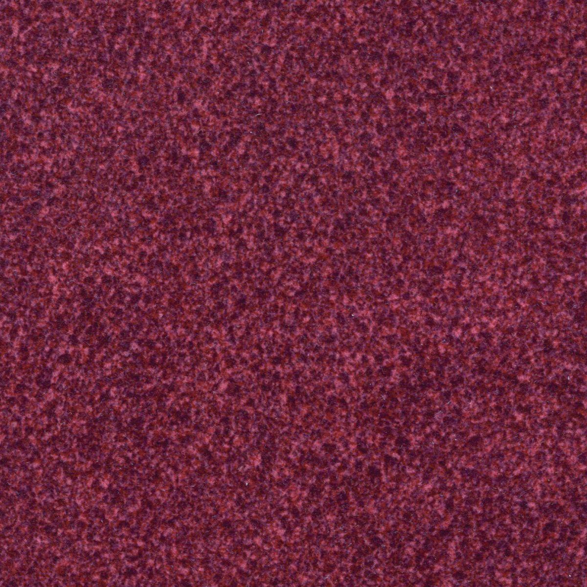 Shiraz