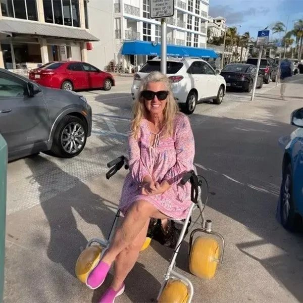 AccessWalk All Terrain Rollator Walker by AccessRec