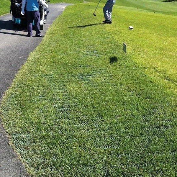 Tapis de gazon d'accessibilité pour parcs et espaces verts par Access Rec