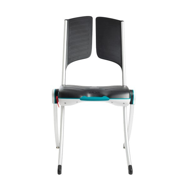 Liftup Raizer II Portable Electronic Lifting Device with remote