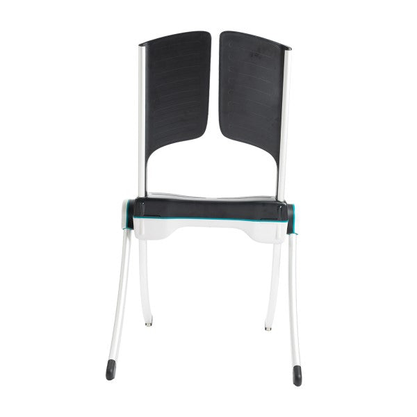 Liftup Raizer II Portable Electronic Lifting Device with remote