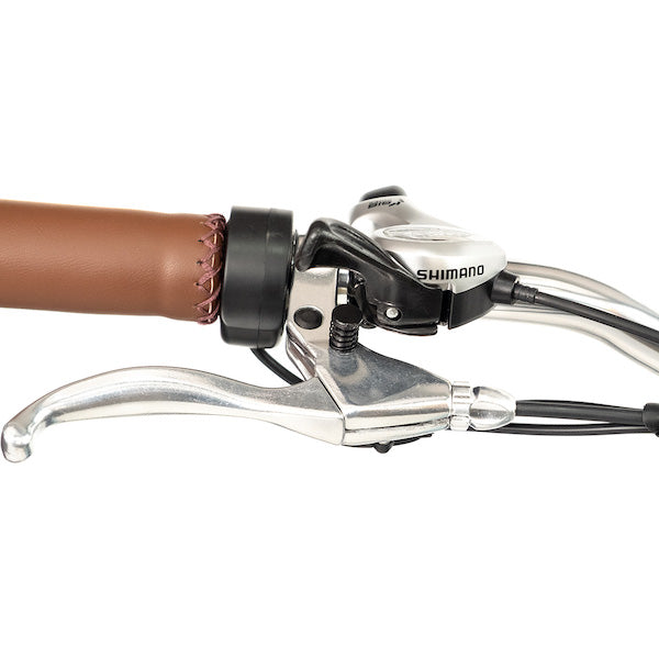 sixthreezero EVRYjourney Electric Tricycle Rickshaw 750W with Passenger Seat