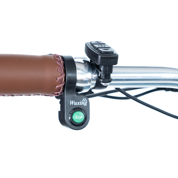 sixthreezero EVRYjourney Electric Tricycle Rickshaw 750W with Passenger Seat