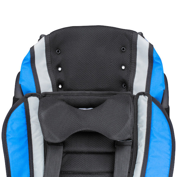 Strive Adaptive Stroller