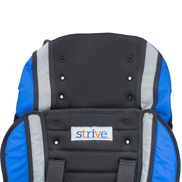 Strive Adaptive Stroller