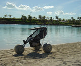 Jogger de playa para bebé DeBug