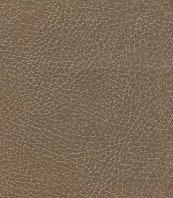 Saddle