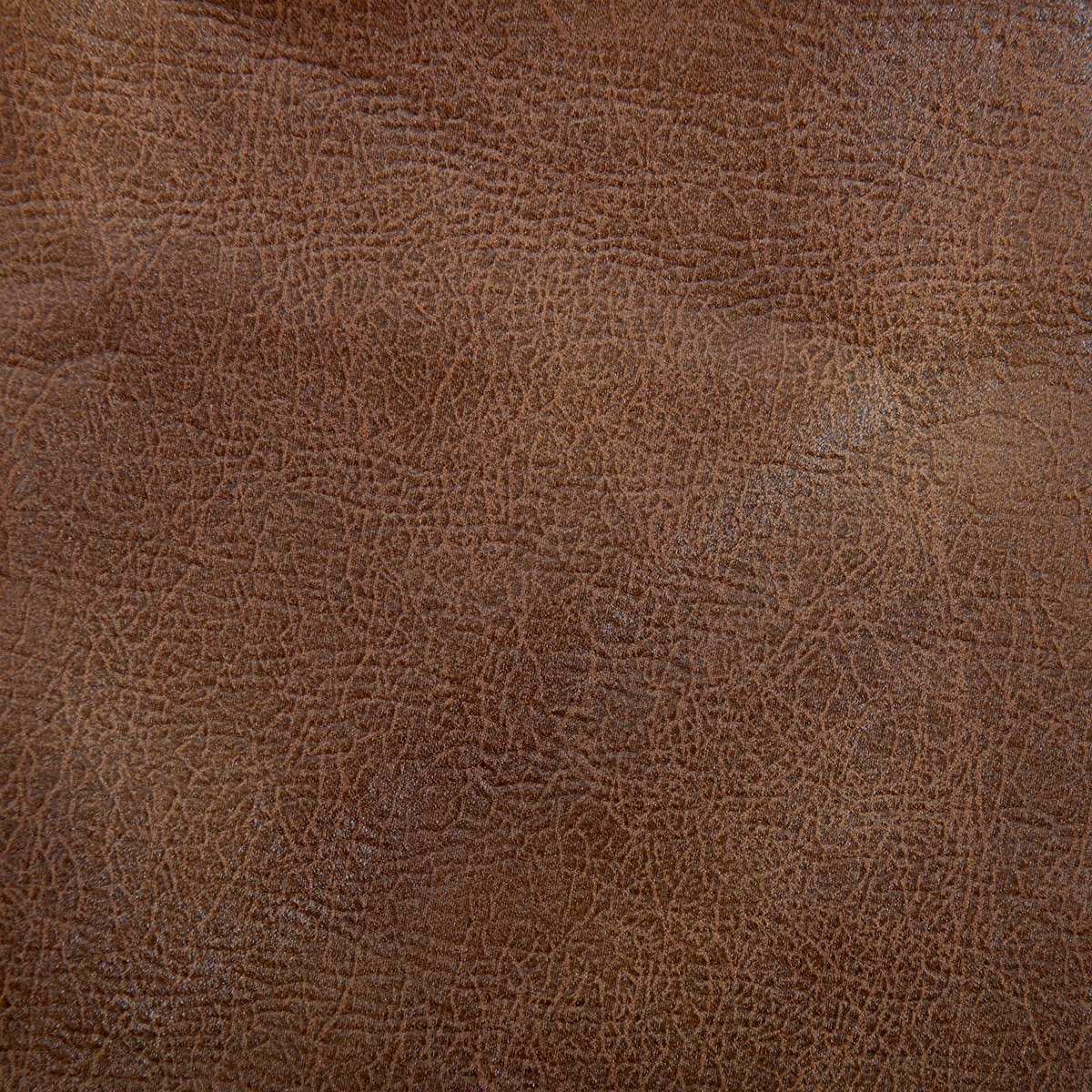 acorn-gt-sac