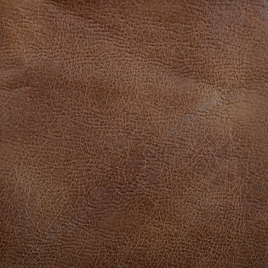 acorn-gt-sac