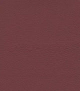 Beet Root