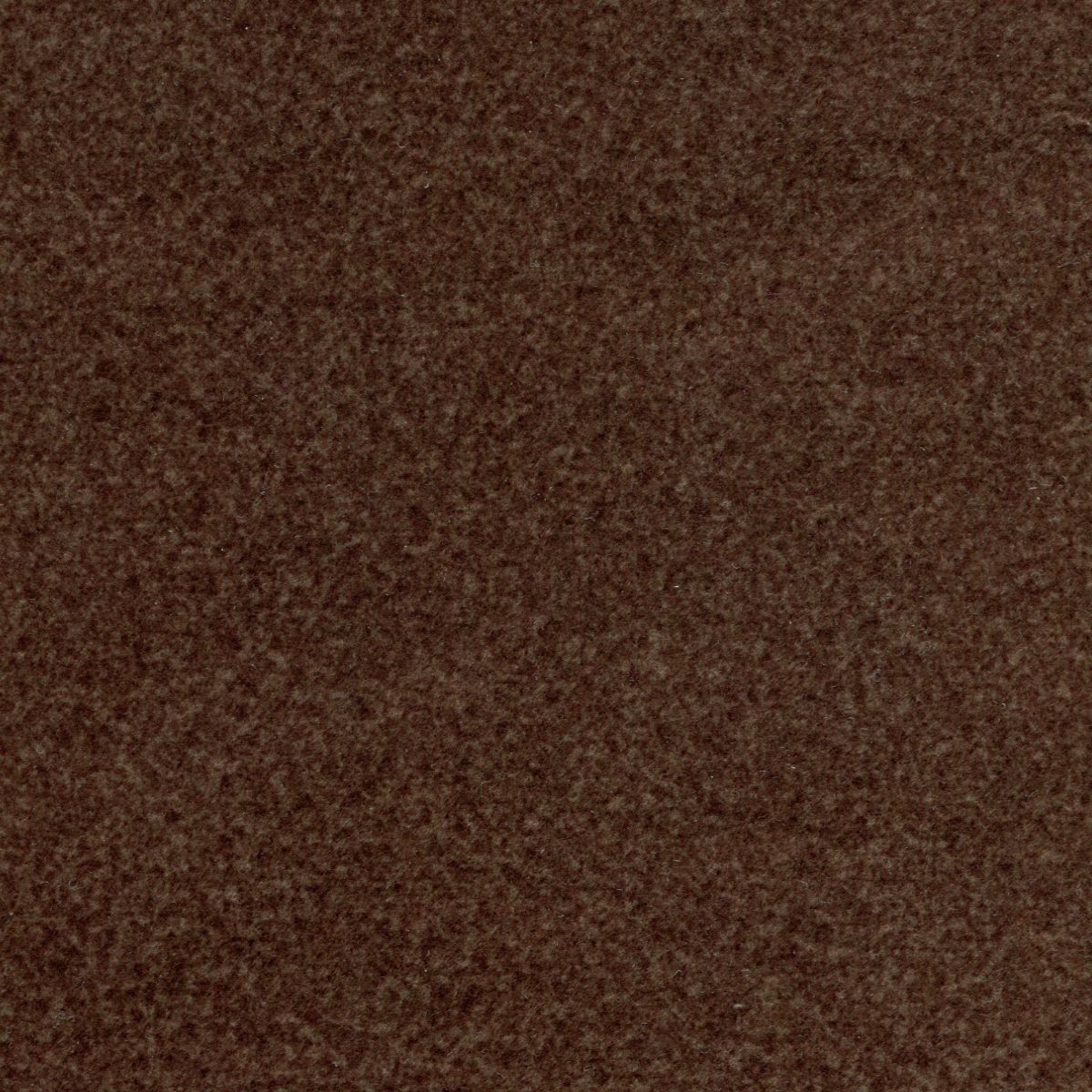 Hazelnut (GT-PR510-SME-DST-THA)