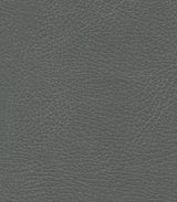 Iron