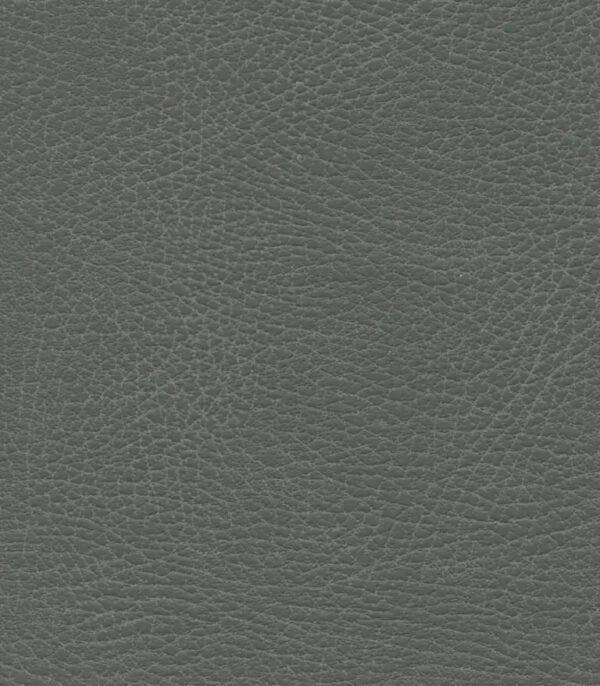 Iron