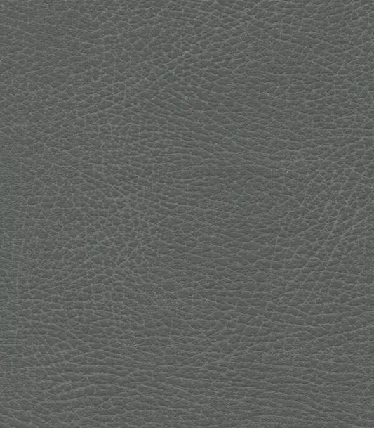 Iron