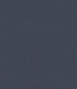 Night Navy