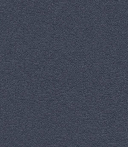 Night Navy