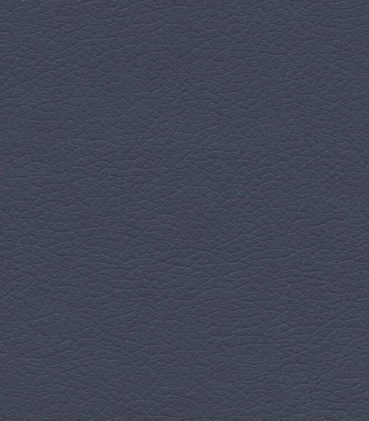 Night Navy