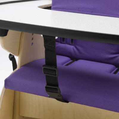 Smirthwaite Front Tray Retaining Strap (SW-ST053)