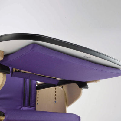 Hardrock Padded Tray Insert (Fitted Underneath) Size 2 (SW-TR031)