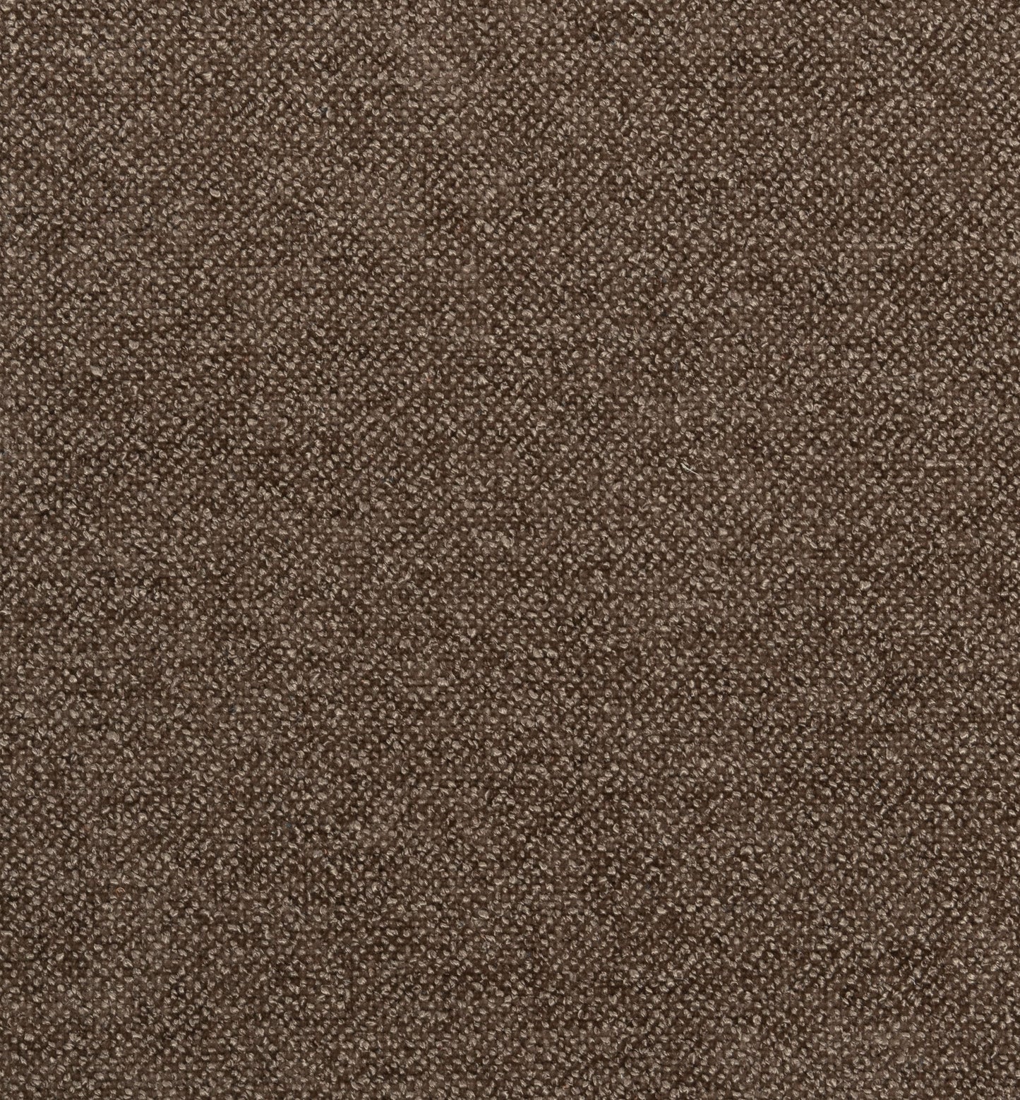 Trento Brown