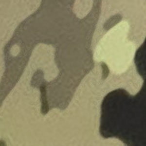 Camo ( PR-BA140CAMO1001 )