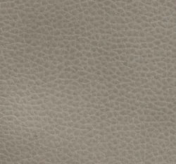 Pride Capriccio Dove Fabric (CDO-H0C)