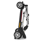 Buzzaround CarryOn
