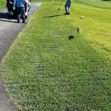 Grassmat by Access Rec Accessibility Grass Matting for Parks and Grassy Areas