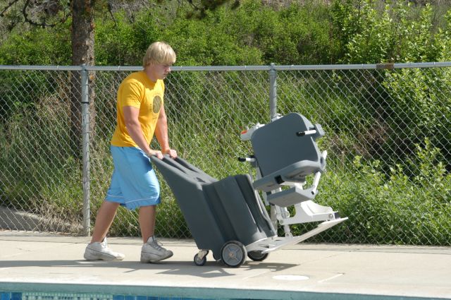 Portable Pro Pool Lift