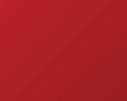 Travel Buggy City 2 Plus Red Fabric Color