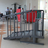 Entrenador de escaleras Liftup de 3 escalones y plataforma